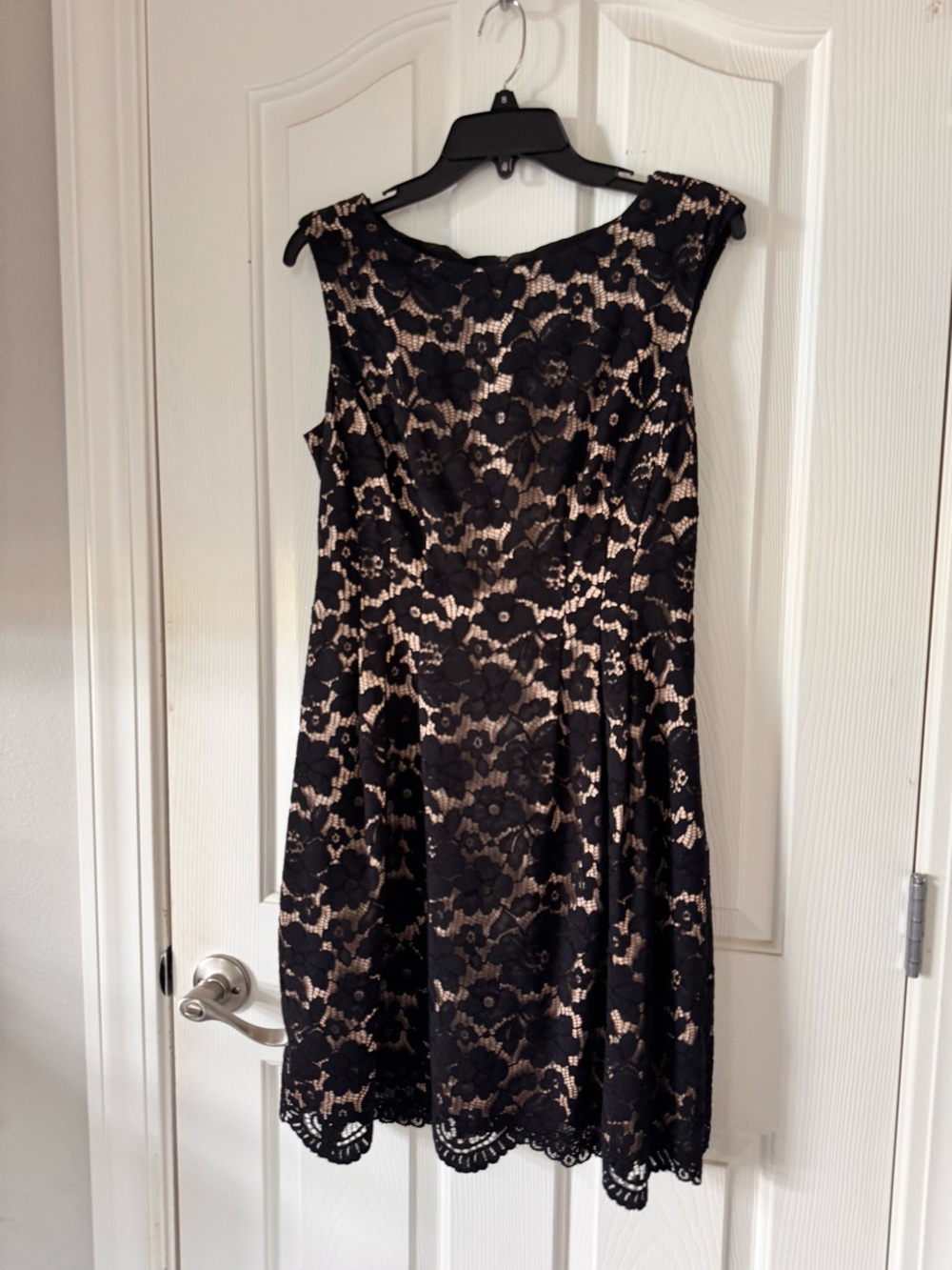 Black Lace Overlay A-Line Dress with Nude Lining